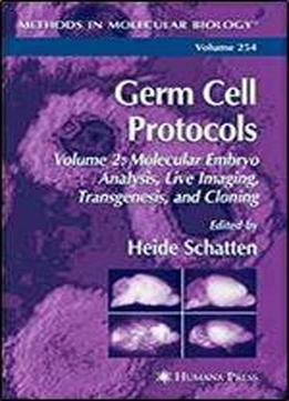 Germ Cell Protocols: Volume 2: Molecular Embryo Analysis, Live Imaging, Transgenesis, And Cloning (methods In Molecular Biology)
