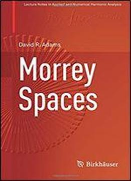 Morrey Spaces (applied And Numerical Harmonic Analysis)