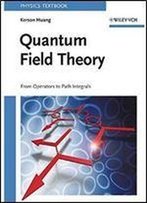 Quantum Field Theory: From Operators To Path Integrals 1st Edition