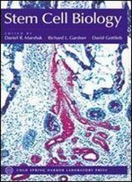 Stem Cell Biology (Cold Spring Harbor Monograph Series, 40)
