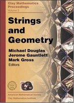 Strings And Geometry: Proceedings Of The Clay Mathematics Institute 2002 Summer School On Strings And Geometry, Isaac Newton Institute, Cambridge (Clay Mathematics Proceedings)