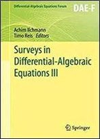 Surveys In Differential-Algebraic Equations Iii (Differential-Algebraic Equations Forum)
