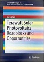 Terawatt Solar Photovoltaics: Roadblocks And Opportunities (Springerbriefs In Applied Sciences And Technology)