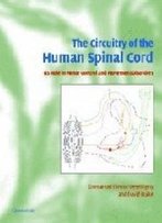The Circuitry Of The Human Spinal Cord: Its Role In Motor Control And Movement Disorders