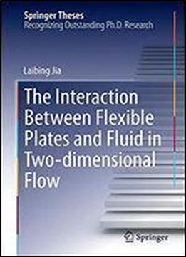 The Interaction Between Flexible Plates And Fluid In Two-dimensional Flow (springer Theses)
