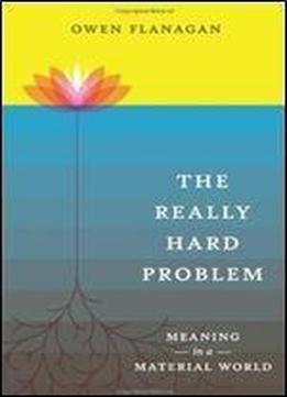 The Really Hard Problem: Meaning In A Material World
