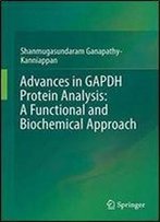 Advances In Gapdh Protein Analysis: A Functional And Biochemical Approach