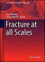 Fracture At All Scales (Lecture Notes In Mechanical Engineering)