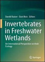 Invertebrates In Freshwater Wetlands