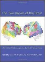 The Two Halves Of The Brain: Information Processing In The Cerebral Hemispheres
