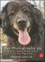 Andrew Darlow - Pet Photography 101: Tips For Taking Better Photos Of Your Dog Or Cat