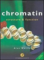 Chromatin: Structure And Function