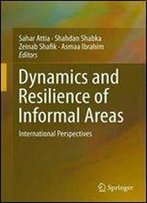 Dynamics And Resilience Of Informal Areas: International Perspectives