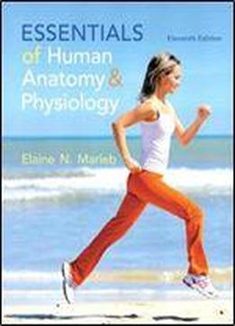 Essentials Of Human Anatomy & Physiology (11th Edition)