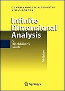 Infinite Dimensional Analysis: A Hitchhiker's Guide