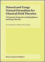 Natural And Gauge Natural Formalism For Classical Field Theorie: A Geometric Perspective Including Spinors