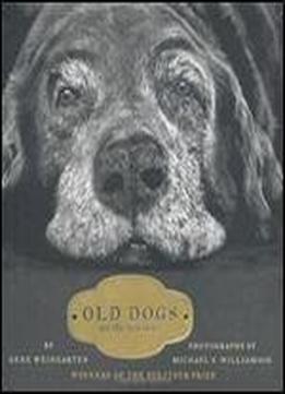 Old Dogs: Are The Best Dogs