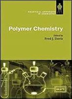 Polymer Chemistry: A Practical Approach (The Practical Approach In Chemistry Series)