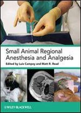 Small Animal Regional Anesthesia And Analgesia