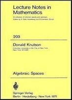 Algebraic Spaces (Lecture Notes In Mathematics, Vol. 203)