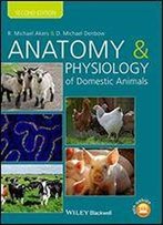 Anatomy And Physiology Of Domestic Animals