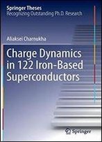 Charge Dynamics In 122 Iron-Based Superconductors (Springer Theses)