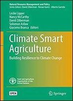 Climate Smart Agriculture: Building Resilience To Climate Change (Natural Resource Management And Policy Book 52)
