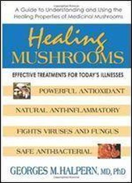 Healing Mushrooms: Effective Treatments For Today's Illnesses