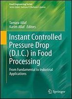 Instant Controlled Pressure Drop (D.I.C.) In Food Processing: From Fundamental To Industrial Applications (Food Engineering Series)
