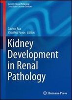 Kidney Development In Renal Pathology (Current Clinical Pathology)