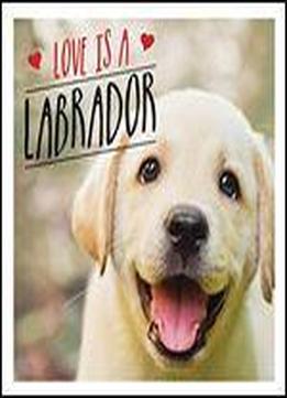 Love Is A Labrador: A Lab-tastic Celebration Of The World's Favourite Dog