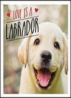 Love Is A Labrador: A Lab-Tastic Celebration Of The World's Favourite Dog