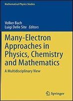 Many-Electron Approaches In Physics, Chemistry And Mathematics: A Multidisciplinary View