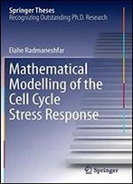 Mathematical Modelling Of The Cell Cycle Stress Response (Springer Theses)