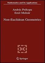 Non-Euclidean Geometries: Janos Bolyai Memorial Volume (Mathematics And Its Applications)