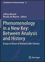 Phenomenology In A New Key: Between Analysis And History: Essays In Honor Of Richard Cobb-Stevens (Contributions To Phenomenology)