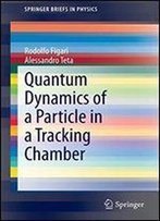 Quantum Dynamics Of A Particle In A Tracking Chamber (Springerbriefs In Physics)