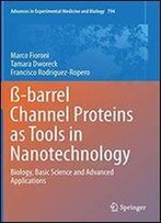 Ss-Barrel Channel Proteins As Tools In Nanotechnology: Biology, Basic Science And Advanced Applications (Advances In Experimental Medicine And Biology)