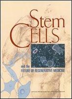 Stem Cells And The Future Of Regenerative Medicine
