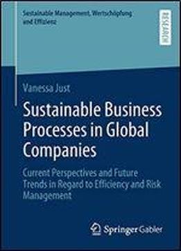 Sustainable Business Processes In Global Companies: Current Perspectives And Future Trends In Regard To Efficiency And Risk Management (sustainable Management, Wertschopfung Und Effizienz)