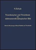 Thrombocyten Und Thrombose Im Elektronenmikroskopischen Bild / Electron Microscopy Of Blood Platelets And Thrombosis (German And English Edition)