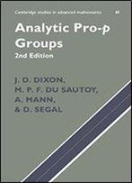 Analytic Pro-P Groups 2ed (Cambridge Studies In Advanced Mathematics)
