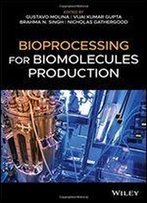 Bioprocessing For Biomolecules Production