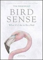 Bird Sense: What It's Like To Be A Bird
