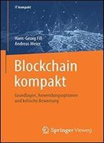 Blockchain Kompakt: Grundlagen, Anwendungsoptionen Und Kritische Bewertung