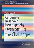 Carbonate Reservoir Heterogeneity: Overcoming The Challenges (Springerbriefs In Petroleum Geoscience & Engineering)