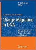 Charge Migration In Dna: Perspectives From Physics, Chemistry, And Biology (Nanoscience And Technology)