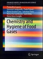 Chemistry And Hygiene Of Food Gases (Springerbriefs In Molecular Science)