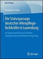 Die Statuspassage Deutscher Altenpflegefachkrfte In Luxemburg: Im Spannungsfeld Von Fachlicher Degradierung Und Lukrativer Vergtung