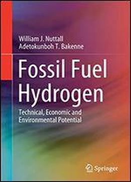 Fossil Fuel Hydrogen: Technical, Economic And Environmental Potential